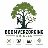 Veilig werken met kettingzagen tijdens boomverzorging