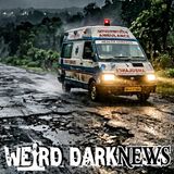Declared Brain-Dead and Sent Home to Die — A Pothole Changed Everything