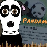 Pandamonium!