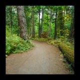 To the Meadows and back