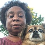 The Adventures of a Black Librarian