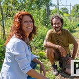 Orto e frutteto in agroforestazione. L'agricoltura del futuro