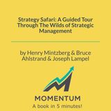 Strategy Safari: Why Real Strategy Is Crafted, Not Planned (Henry Mintzberg, Bruce Ahlstrand, Joseph Lampel)