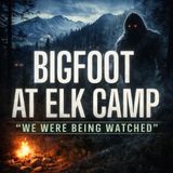 OUTDOORSMAN SHARES HIS BIGFOOT EXPERIENCE! | ELK CAMP WAS NEVER THE SAME!