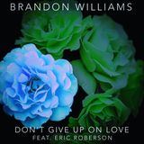 Brandon Williams - Don't Give Up On Love (feat. Eric Roberson)