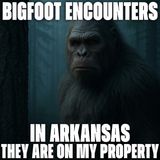 White Sasquatch Encounter In The Ozarks | Legends of Arkansas Bigfoot (They Are On My Property)