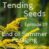 Ep 29 - End of Summer Foraging