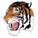 Cómo el Tigre consiguió sus Rayas | Cuentos Con Moraleja