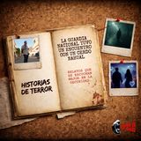 La Guardia Nacional tuvo un encuentro con un cerdo nahual