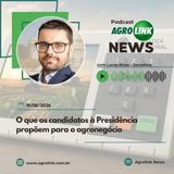 Trigo tem menor área plantada em nove anos e produção brasileira deve recuar