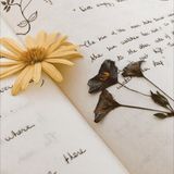 Épisode 148 | La force des mots (rediffusion)