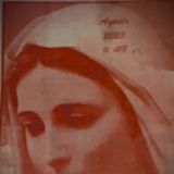 Evangelio Del Día Viernes 14 de Agosto | Casarse O No Casarse | 5 Minutos de Oración en el Hogar