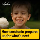 How serotonin prepares us for what's next