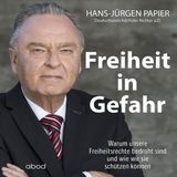 [German] - Freiheit in Gefahr: Warum unsere Freiheitsrechte bedroht sind und wie wir sie schützen können by Hans-Jürgen Papier