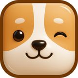 Why Is Intermittent Fasting Gaining So Much Attention