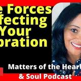 The Forces Affecting Your Vibration _ How to Stay High_- Janie Charlot (Matters of the Heart _ Soul)