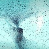 Piero Salabè "Mortacci mia"