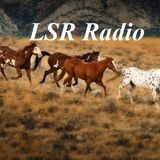 BLM Moves To Slaughter Wild Horses