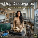 Dog Discoveries - Uncover the mysteries of mans best friend with Juniper Snout