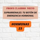 271. TUS GLÁNDULAS SUPRARRENALES: el sistema que decide tu energía, tu estrés y tu rendimiento #HORMONAS 23