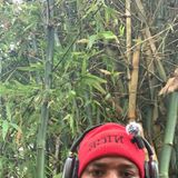 Episodio 368 - El podcast de Luismiguel Rosa manzanillo