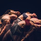 Art Talks About Dancing: Det Fynske Dansekompagni