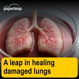 A leap in healing damaged lungs