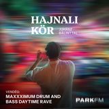 Valdinger Gábor: Hálás szervezője vagyok az ország legnagyobb DnB bulijának | Park FM – Hajnali Kör