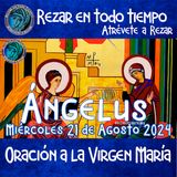 ángelus del día de hoy.  MIERCOLES 21 AGOSTO 2024, 🌹Oración del angelus en español💙.