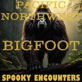 Bigfoot Encounters From The Pacific NorthWest | The Creature Moved On All Fours!!!