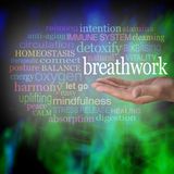 240: Breathwork for stress relief