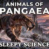 The Most Relaxing Facts About The Animals of Pangaea to Fall Asleep To
