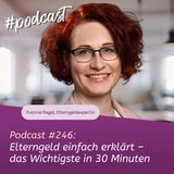 #246 - Elterngeld einfach erklärt – das Wichtigste in 30 Minuten