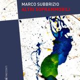 Marco Subbrizio "Altri soprammobili"