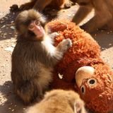 Ecología para todos: primavera en los zoológicos