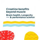 Creatine Benefits Beyond Muscle: Brain Health, Longevity & Performance Science