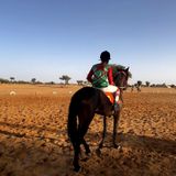 Comment promouvoir les jeunes jockeys dans les activités culturelles du département de Filingué ? (Fada)