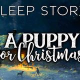 The Girl_ The Moon _ The Christmas Dog_ A Soothing Bedtime Story