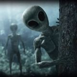 The CRAZY story of the murdered ALIEN VISITOR at Macguire air force base in New Jersey!