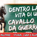 # 153 - Il Cavallo Militare Storia Cura Alimentazione