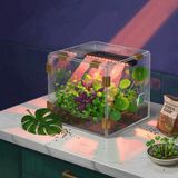Navigate Apartment Countertop Hydro: Pod vs DIY for Algae-Free Harvest Cycles