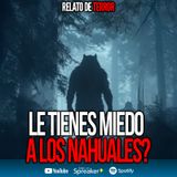Canasta de relatos de Terror de Nahuales