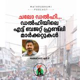 ഡൽഹി യാത്രയ്ക്കൊരുങ്ങുകയാണോ? ബ‍ഡ്ജറ്റ് ഫ്രണ്ട്ലി ഷോപ്പിങ്ങാണോ മനസിൽ? ഇക്കാര്യം അറിഞ്ഞിരിക്കാം| Delhi shopping places