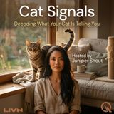 Cat Signals - Decode the feline mysteries with Juniper Snout