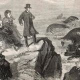The Oilliphéist & other Irish Sea Beasts