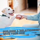 Building your relationship with your dog ep 34 3-28-2021