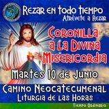 CORONILLA A LA DIVINA MISERICORDIA DE HOY MARTES 10 DE JUNIO 2025. 🙏 REZAR EN TODO TIEMPO.         