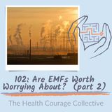 102: Are EMFs Worth Worrying About?  (part 2)