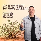 ¡No te conviertas en una zarza! | Pastor David Cañas