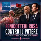 Fenicotteri rosa contro il potere: Kushner, Rama e il futuro dell'Albania